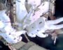 NASA’s Anil Menon Makes His First Spacewalk