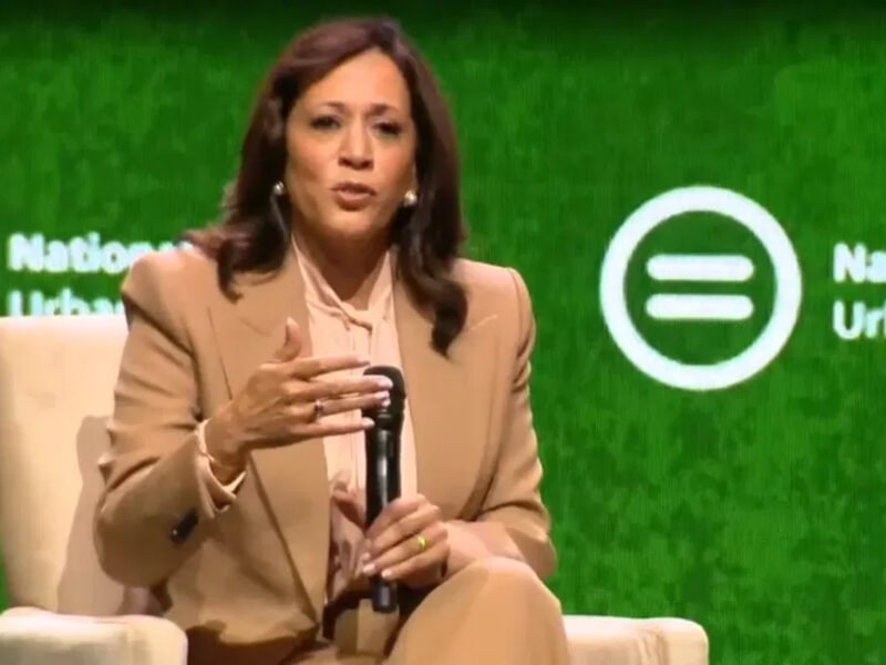 Kamala Harris Tells Democrats Their Midterm Vote Must Be 'Too Big To Rig'