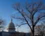 Republicans Account For 75% Of US House Mail Spending