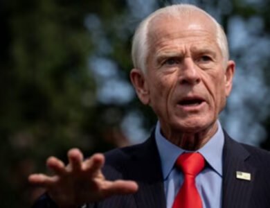 Peter Navarro Accuses India, Others, Of Helping China Evade Tariffs
