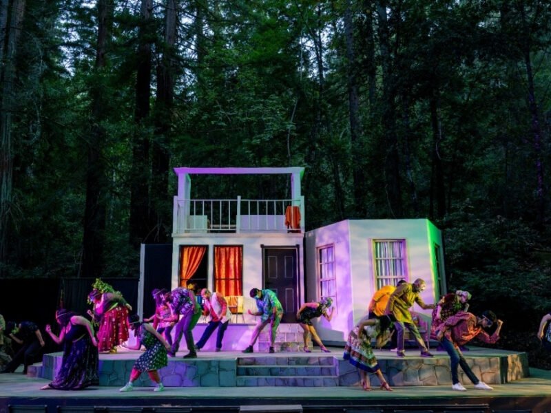 Under the Redwoods, Shakespeare’s ‘Much Ado About Nothing’ Finds New Life Through And Indian American Lens