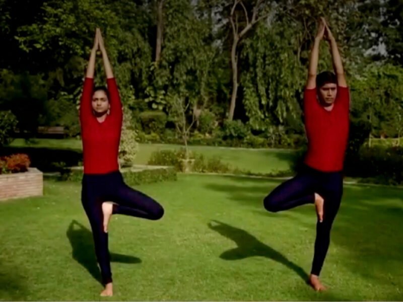 Vrikhshasana, The Tree Posture