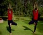 Vrikhshasana, The Tree Posture