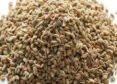The Healing Benefits Of Ajvain