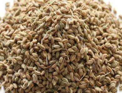 The Healing Benefits Of Ajvain