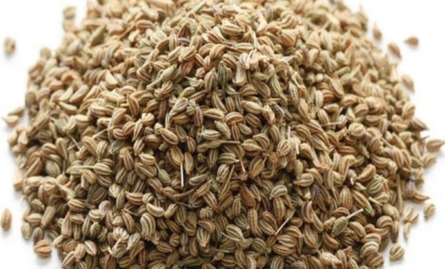 The Healing Benefits Of Ajvain