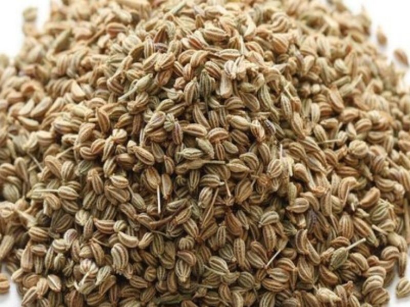 The Healing Benefits Of Ajvain