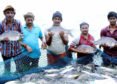 India Ranks 2nd Globally In Fish Production