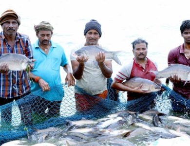 India Ranks 2nd Globally In Fish Production