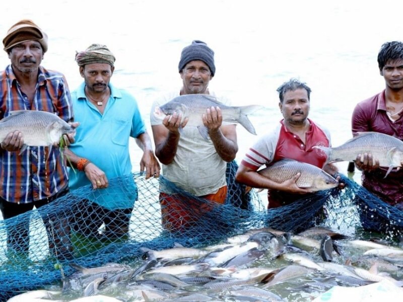 India Ranks 2nd Globally In Fish Production