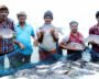 India Ranks 2nd Globally In Fish Production