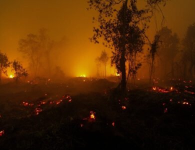 Trump Continues War On California And Its Climate Leadership