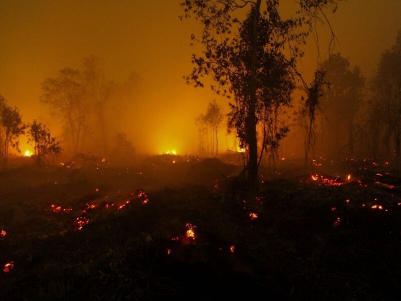 Trump Continues War On California And Its Climate Leadership