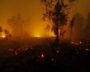 Trump Continues War On California And Its Climate Leadership