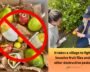 California’s Fruit Fly Fight: The Tiny Invaders That Can Ruin Your Backyard