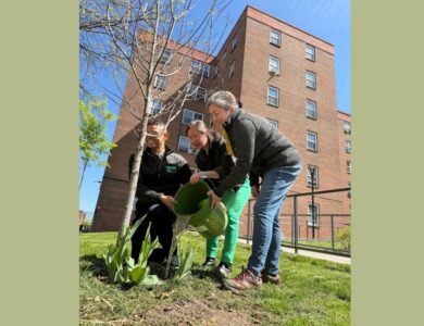 Most In A Decade: NYC Under Mamdani Plants Over 18,000 Trees