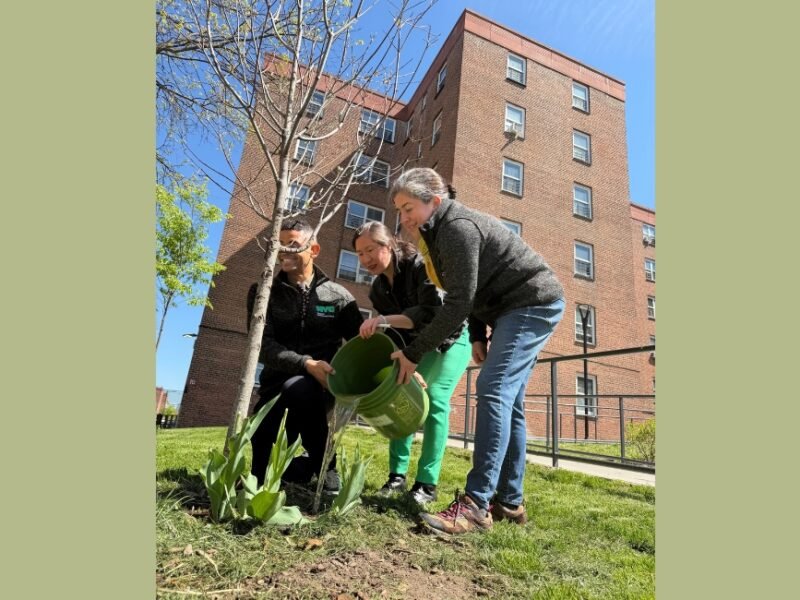 Most In A Decade: NYC Under Mamdani Plants Over 18,000 Trees