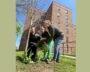 Most In A Decade: NYC Under Mamdani Plants Over 18,000 Trees