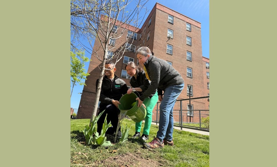 Most In A Decade: NYC Under Mamdani Plants Over 18,000 Trees