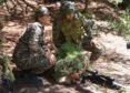 US, Indian Army Snipers Train Together In Himalayan Exercise