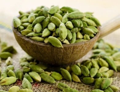 The Many Traditional Uses Of Fragrant Elaichi
