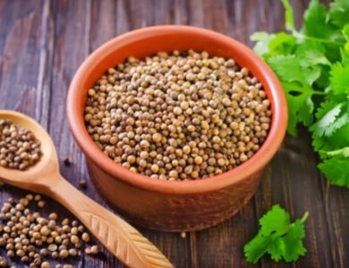 Cilantro, A Herb And A Spice, Has Many Traditional Uses