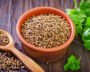 Cilantro, A Herb And A Spice, Has Many Traditional Uses