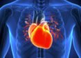 Congress Raises Alarm Over Heart Disease Risk Among South Asians