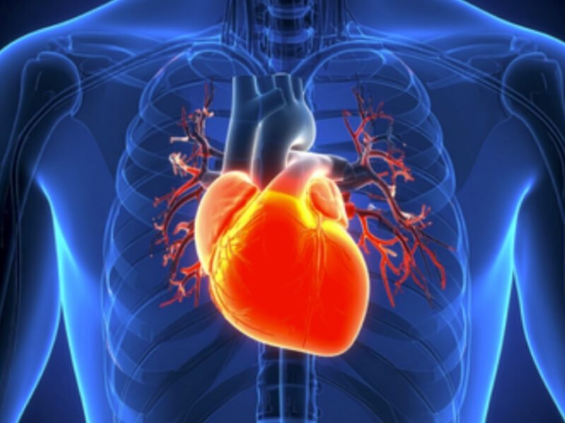 Congress Raises Alarm Over Heart Disease Risk Among South Asians