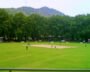 Cricket Returns To Srinagar After 40 Years