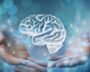 Doctor discusses cognitive health with an older patient