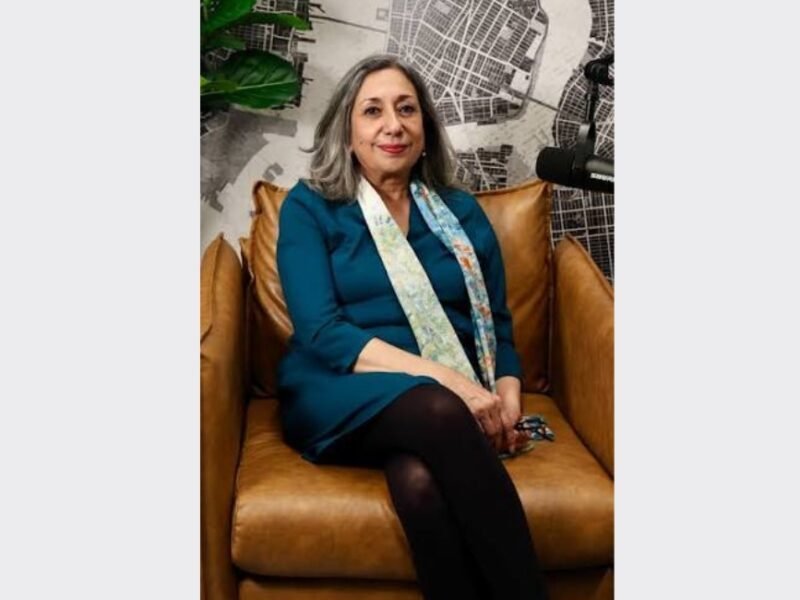 Meenakshi Srinivasan, nominee to the New York City Planning Commission