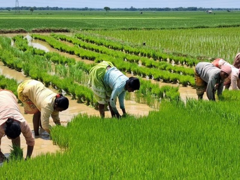 Beyond 'Mother India': Women Farmers Seek Greater Recognition