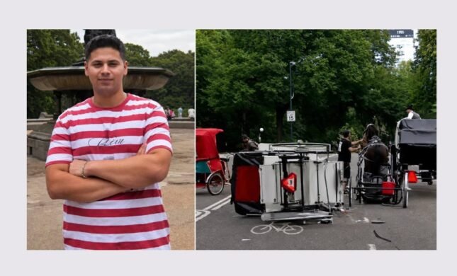 Romanch Mahajan, the Indian teenager honored by NYC’s proposed horse-carriage ban