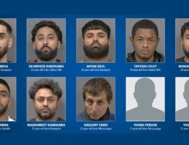 Stolen vehicles recovered by Peel Regional Police during Project High Guard