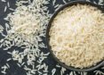 Sacks of rice prepared for export from India